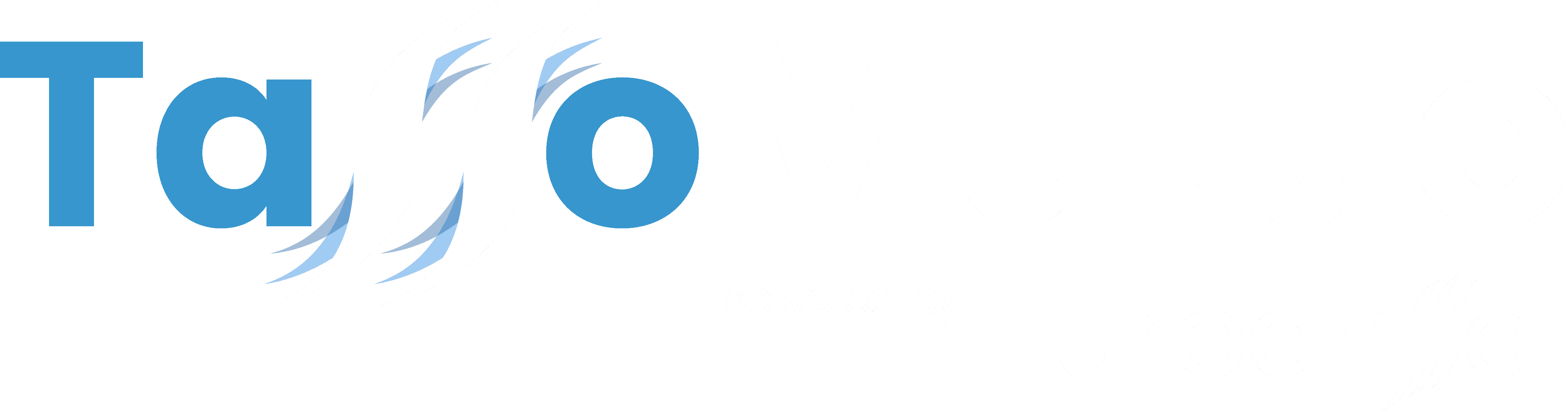 TassoMutuo logo